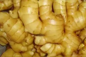 种出双排姜真的是可遇不可求吗？加强此阶段的重点管理，就可求！图片