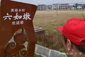 一日转湖淀山湖，上海最大的天然淡水湖泊，玩转周边古镇图片