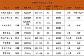 合肥20盘惨卖！滨湖省府卖2成、肥东降3000元/㎡仅卖10套图片