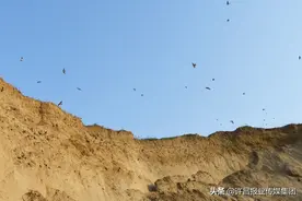 1000多个“湖景房”！是什么，引来“贵客”在许昌这里定居？图片
