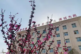 四月春来，消防营区找回“春”活力图片