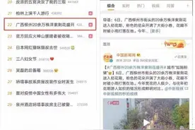 开花啦！柳州20万株紫荆花盛开冲上热搜图片