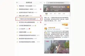 开花啦！柳州20万株紫荆花盛开冲上热搜图片