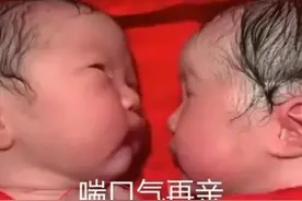 刚出生的龙凤胎，哥哥紧紧抱着妹妹，护士都分不开图片