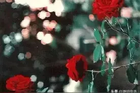 不喜欢去婆家的女人是什么心理，三个女人说实话图片