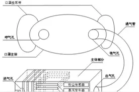 外形如N95口罩 秘密装入扑克盒  西电科大研发出高压静电防病毒电子口罩图片