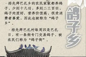 “咕……噜……呜……”蓝天鸽群 “鸽子乡”鸽哨嘹亮图片