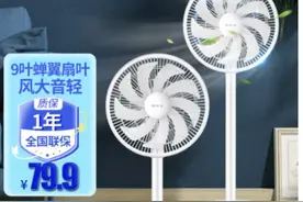 推荐6款平价又耐用的电风扇，性价比超高图片