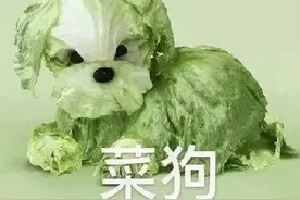俄罗斯美女艺术家手中的白菜成精了，奇葩“菜狗”表情包火出圈图片