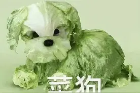 俄罗斯美女艺术家手中的白菜成精了，奇葩“菜狗”表情包火出圈图片