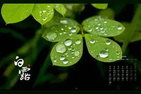 白露降至，农村有老人说“白露水、毒死鬼”，是啥意思？答案来了图片