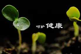 如何维护健康，健康的四大基石到底是什么？图片