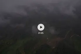 本土“主播”直播卖茶，柏塘山茶网络飘香图片