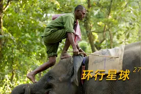 大象足球赛背后的残酷真相，令人唏嘘图片