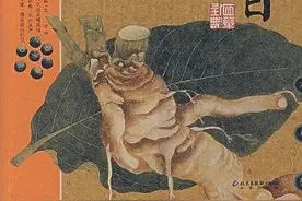 遇上植物：为什么洗护总是有残留，是因为价格吗，无患子给你答案图片