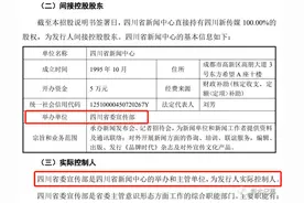 罕见！实控人是党委宣传部图片