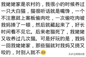 你听过动物报恩或者报仇的故事吗？网友：没想到动物真的有感情图片