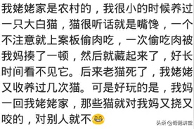 你听过动物报恩或者报仇的故事吗？网友：没想到动物真的有感情图片
