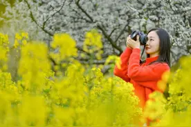在油菜花田拍人像，穿什么颜色的服装好看？3个建议送给你图片