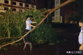 风雨过后 倒木挡住归家路月川所路管员消隐患保畅通图片