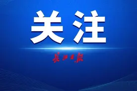 做武汉创新发展的探索者、组织者、引领者，努力把企业打造成为强大创新主体图片