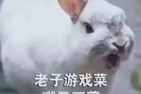 暴躁兔子超大声bb表情包图片