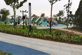 再游渭河湿地公园，高架步道上饱览湖光秋色图片