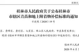 桂林公布青苗和地上附着物补偿最新标准！涉及多个城区图片