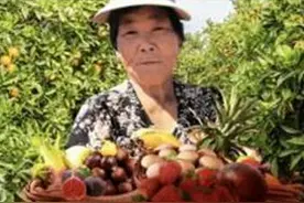 农业农村部指导拼多多等企业采购贫困地区百亿农产品图片