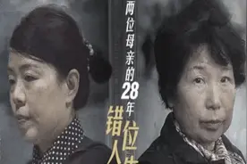 28年人生调换案件，如同照妖镜般照见每个人的内心图片