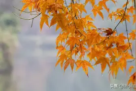 徐小明：周三操作策略图片