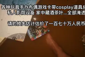 价值百万手办被污水摧毁，B站UP主视频哭诉，开发商却推卸责任图片