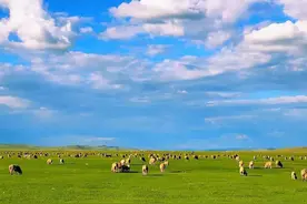 如果说起内蒙古，你会想起什么图片