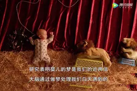 高分纪录片《婴儿的秘密生活》：带你发现关于宝宝的12个小秘密图片
