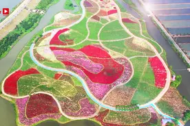 南京浦口都市圈最美花园：玫瑰花海见证幸福图片