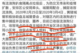 疫情无情人间有爱！武汉82只流浪狗的心酸之路：从死亡到重生图片