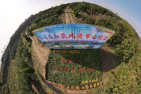 航拍太惊艳！南阳农民用千斤蜜橘、辣椒拼出“加油”图，为北京冬奥会助威图片