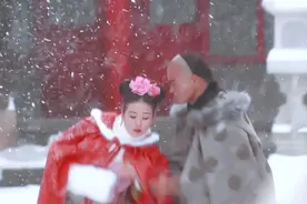 梅花弦外雪图片