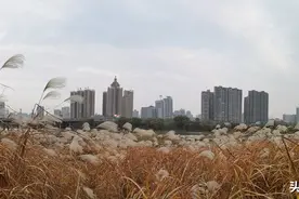 不要假装很努力图片