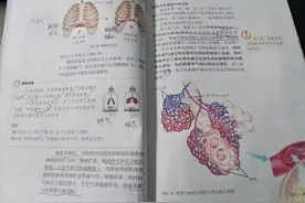 厉害了00后！七年级学生亲手制作：呼吸系统模拟装置图片
