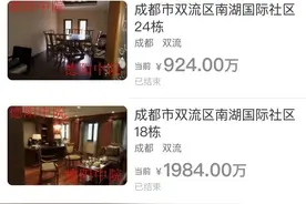 2.119亿元成交！成都老牌房企无力偿债，南湖畔12栋商墅被法拍图片