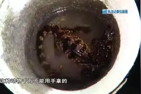 “喂，110吗？河里发现一只小恐龙！”民警现场一看，气氛立马紧张图片