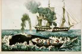 200年前，美国人是怎么在茫茫大海上切割鲸尸、提炼鲸油的呢？图片