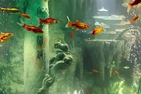 金箍棒的四位主人，孙悟空是最弱的一位，其他三位都是谁呢？图片