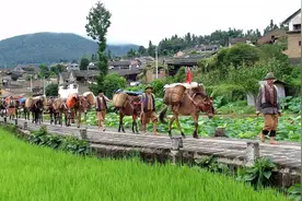 华侨城·梦幻腾冲文旅综合项目正式启动图片