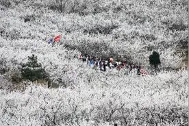 永城芒砀山：文旅融合为乡村振兴蓄势赋能图片