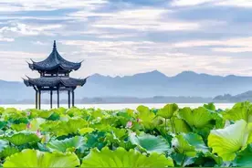 浙江大学四校合并的得与失图片