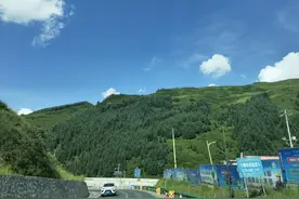 香瓜—怀念我的童年图片