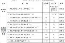 国务院：到2025年，残疾人实现较为充分较高质量的就业图片