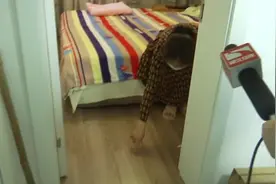 “离我不到20厘米！”别墅2楼卧室惊现花蛇，女主人吓得直呼救图片